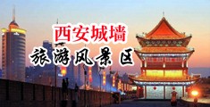 啊～啊我的小穴好爽视频中国陕西-西安城墙旅游风景区